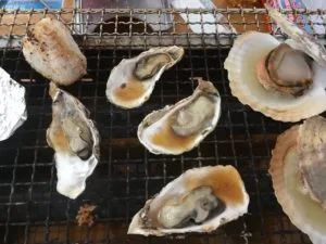 【かきハウス もっくん】今が旬！福岡の冬は牡蠣小屋！糸島のおすすめ牡蠣小屋