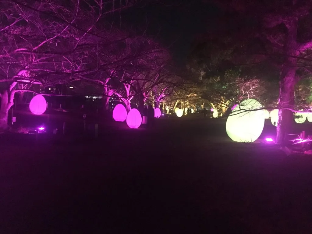 【舞鶴公園】流行りのプロジェクトマッピングが福岡城跡地で開催
