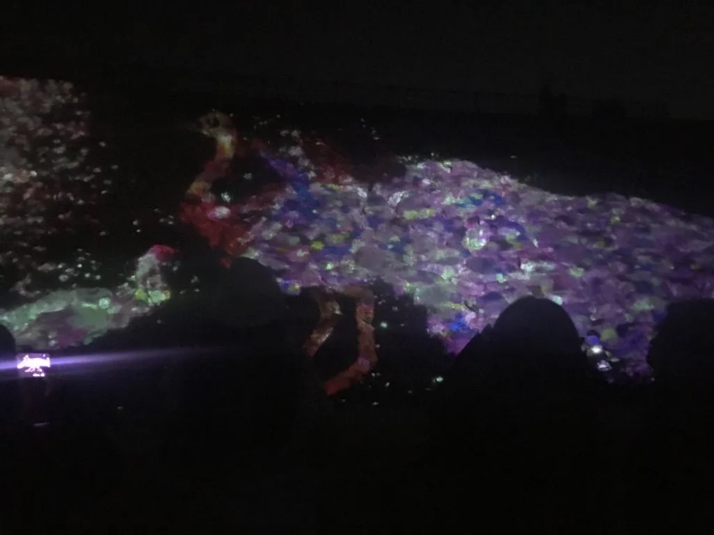 【舞鶴公園】流行りのプロジェクトマッピングが福岡城跡地で開催 3