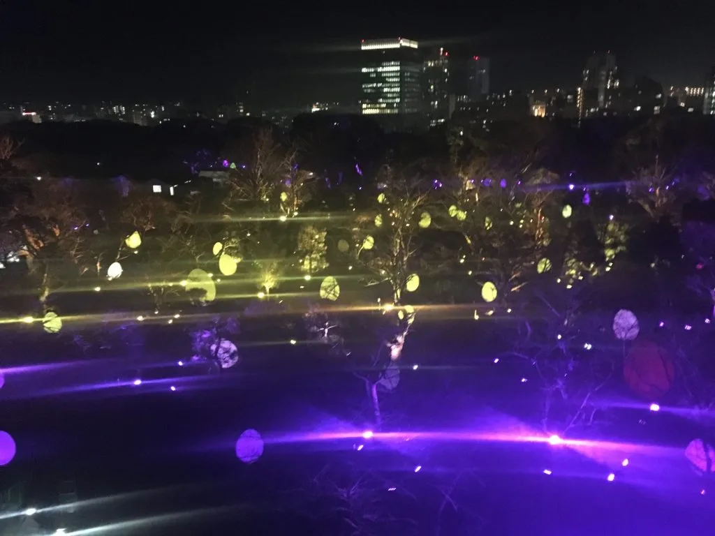 【舞鶴公園】流行りのプロジェクトマッピングが福岡城跡地で開催 5