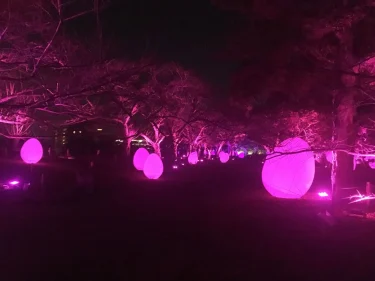 【舞鶴公園】流行りのプロジェクトマッピングが福岡城跡地で開催