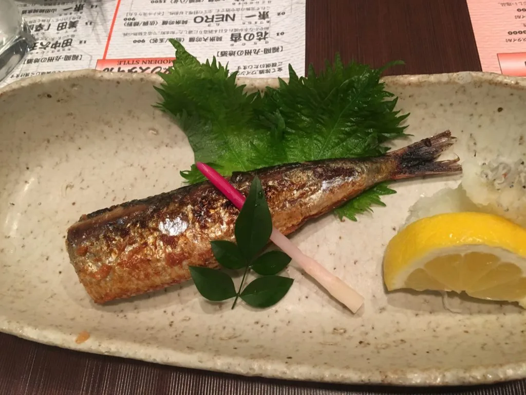 【川端商店街】せいもん払い【割烹】 5