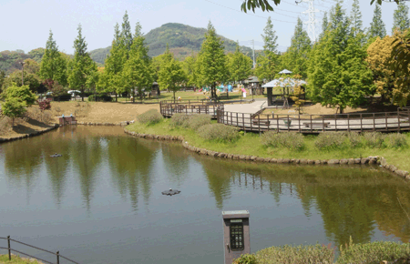 【室見川河畔公園　野生の広場】福岡のおすすめバーベキュースポット 6