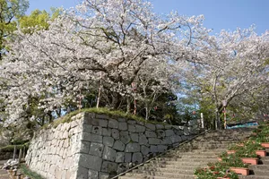 【舞鶴公園】福岡のおすすめバーベキュースポット 2