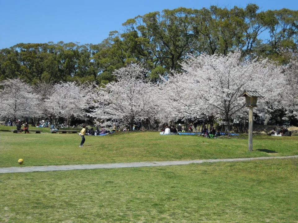 【舞鶴公園】福岡のおすすめバーベキュースポット 3