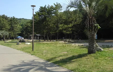 【小戸公園】福岡のおすすめバーベキュースポット 2