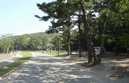 【小戸公園】福岡のおすすめバーベキュースポット 12