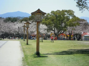 【舞鶴公園】福岡のおすすめバーベキュースポット