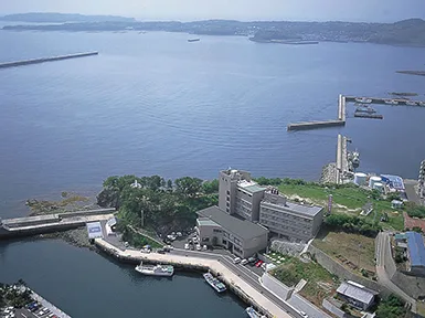 福岡からわずか１時間!日帰りできるリゾート!!「壱岐」 10