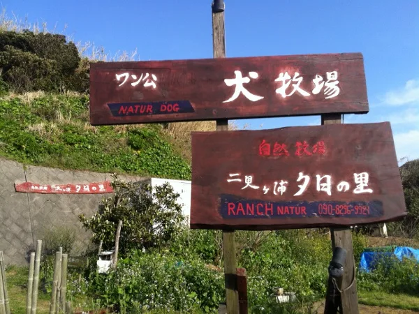 【二見ヶ浦海水浴場】福岡のおすすめ海水浴場 14