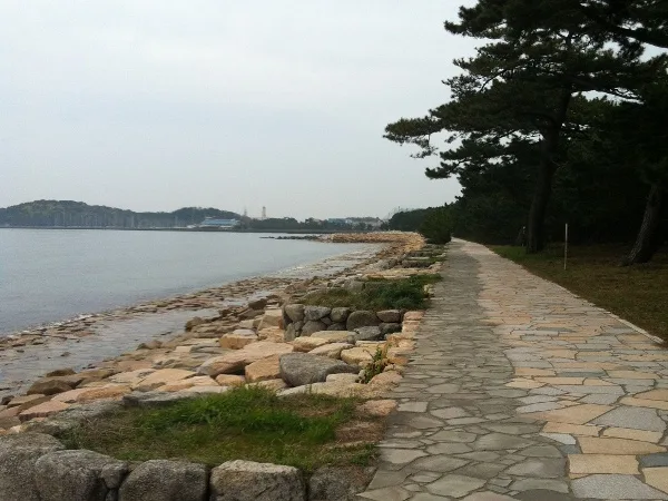 【生の松原海水浴場】福岡のおすすめ海水浴場 6