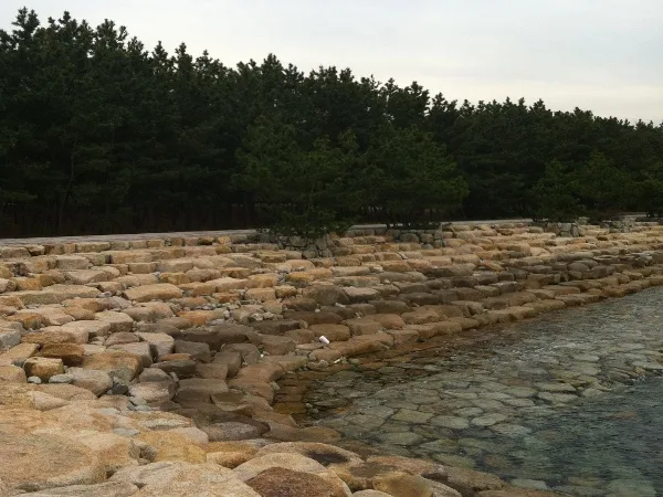 【生の松原海水浴場】福岡のおすすめ海水浴場 12