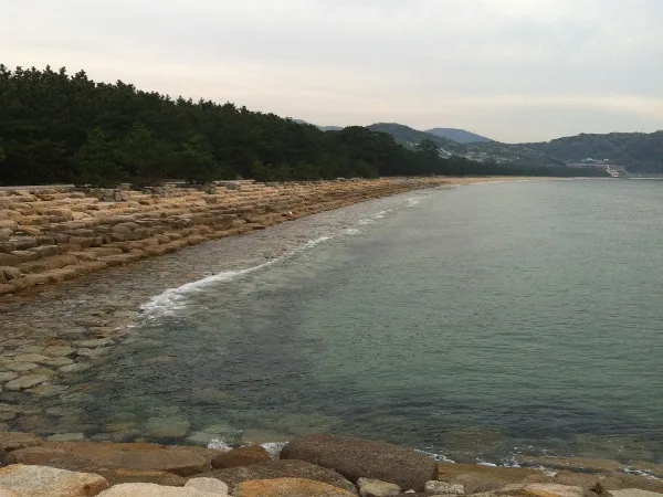 【生の松原海水浴場】福岡のおすすめ海水浴場 13