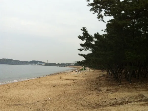 【生の松原海水浴場】福岡のおすすめ海水浴場 3