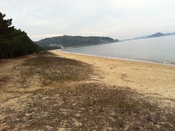 【生の松原海水浴場】福岡のおすすめ海水浴場 4