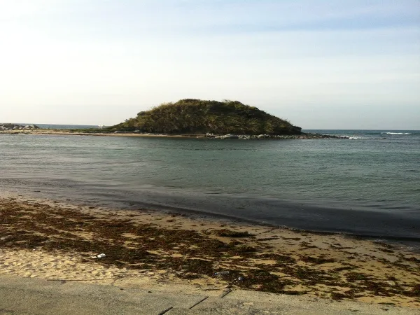【勝馬海水浴場】福岡のおすすめ海水浴場 14